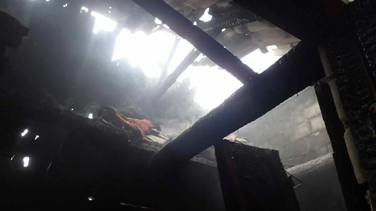 Маи сгорело. Пожар в Гурзуфе сегодня. Пожар в Гурзуфе 14 февраля.