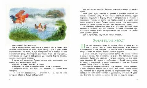 Почему беличий хвост по мнению автора текста