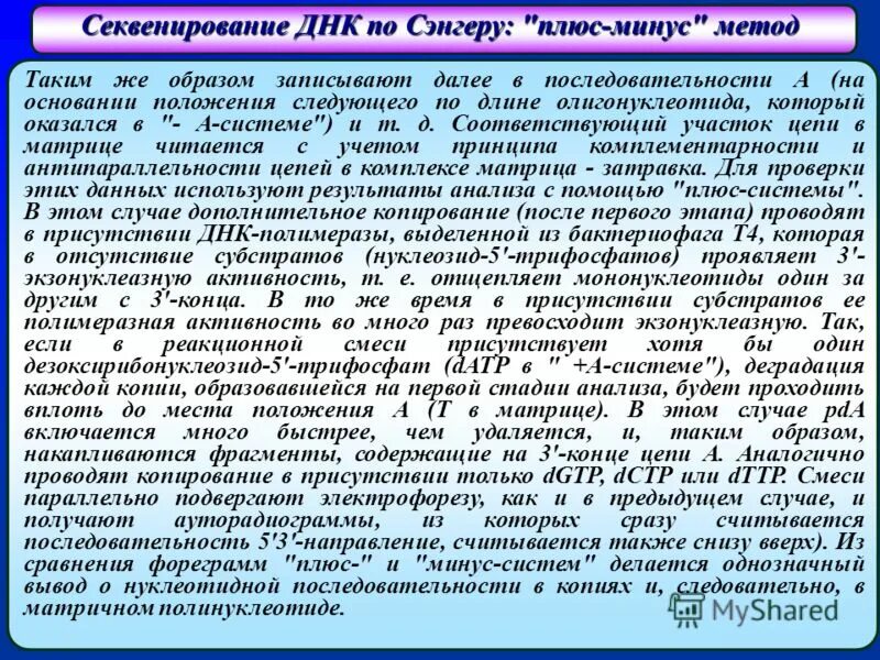 Секвенирование презентация 10 класс. «плюс-минус» метод секвенирования днк. секвенирование днк по сэнгеру: &quot;плюс-минус&quot; метод. секвенирование по сэнгеру плюс минус метод. секвенирование этапы.