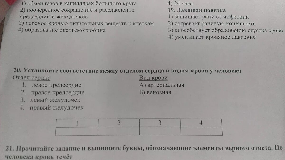 Соответствие между отделом сердца и видом крови. Установите соответствие сердце. Установите соответствие между отделом сердца человека и видом крови. Соответствия между отделами сердца и крови.