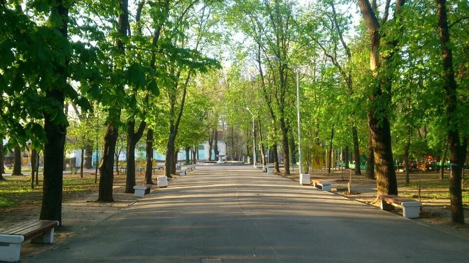 Вечер в парке, октябрь :: Леонид - Социальная сеть ФотоКто