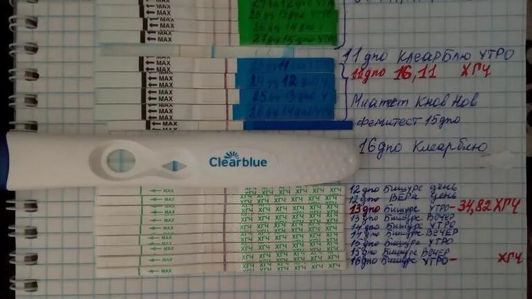 Через сколько можно забеременеть после замершего. ХГЧ И тест на беременность по дням. Уровень ХГЧ И тест на беременность. Тесты ХГЧ по дням. ХГЧ В моче по дням.