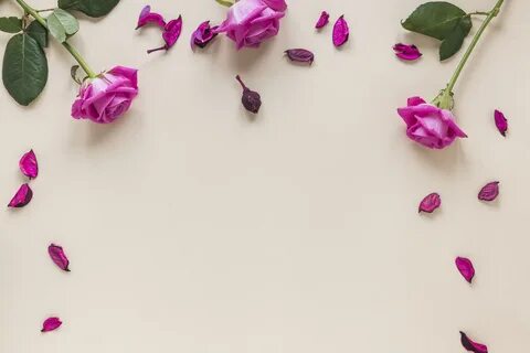 Цветы и лепестки листья