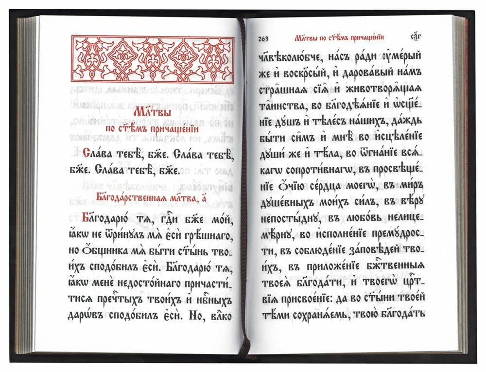 Каноны святым на церковно славянском. Православный молитвослов на церковнославянском языке. Молитвослов православный на церковнославянском. Молитвослов Псалтирь на церковно-Славянском. Молитвослов в коже на церковно Славянском Свято Елисаветинский.