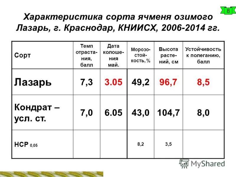 Ячмень яровой сорт прерия. Ячмень озимый характеристики. Технологическое возделывание ячменя. Характеристика озимого ячменя. Ячмень заболевание классификация.