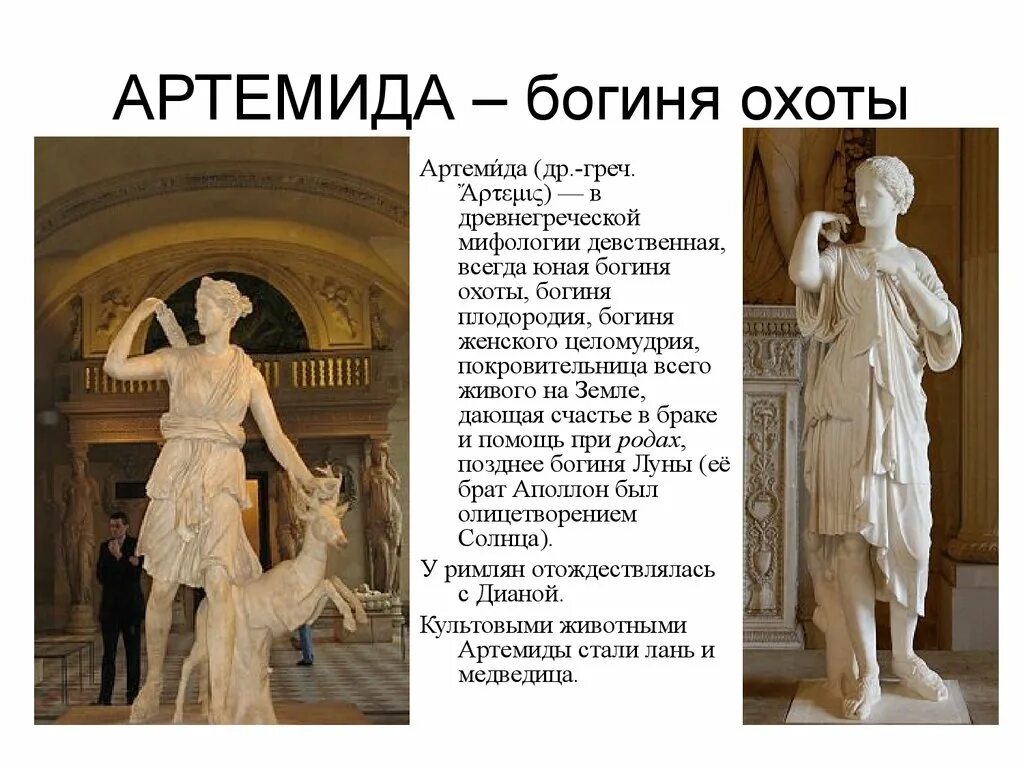 артемида богиня луны и охоты. артемида богиня охоты. артемида богиня охоты. диана версальская артемида. артемида диана.