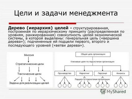 Совокупность целей организации