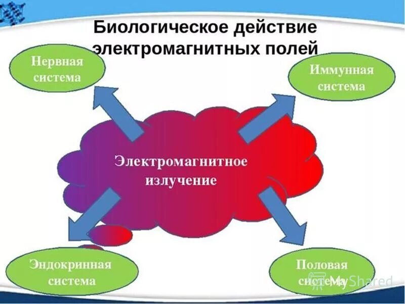 Виды биологических эффектов. Биологическое действие электромагнитных излучений. Биологическое действие электромагнитных полей. Биологическое воздействие ЭМП. Биологический эффект ЭМП.