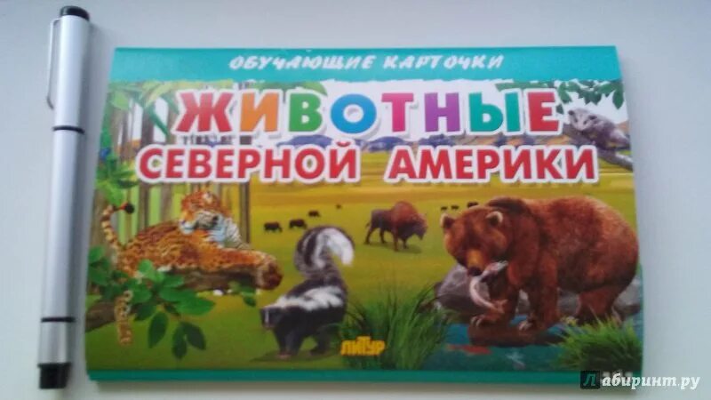 Животные северной америки 2 класс. Игрушки животные Северной Америки. Животные Северной Америки книга. Животные Северной Америки Лабиринт. Карточки животные Северной Америки.