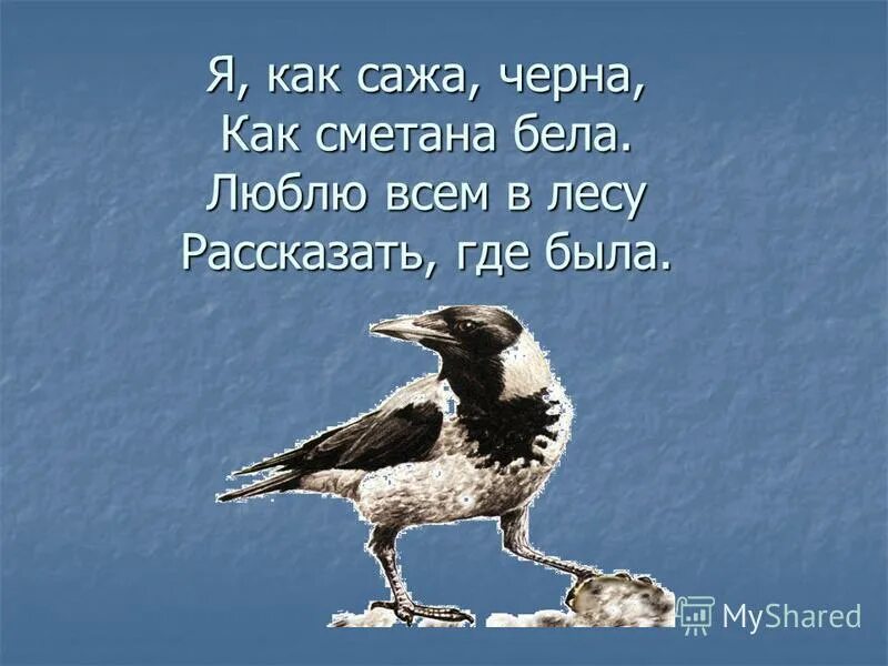 Как сажа бела черна как сметана бела. Как сажа черна как сметана бела. Дела как сажа бела. Слово сажа. Что означает выражение как дела как сажа бела.