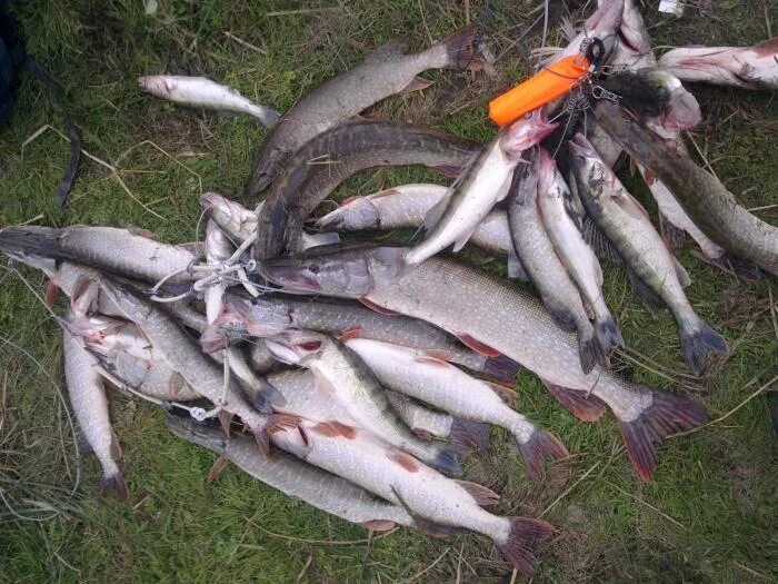 Прогулки по обскому морю. Прогулки по обскому морю