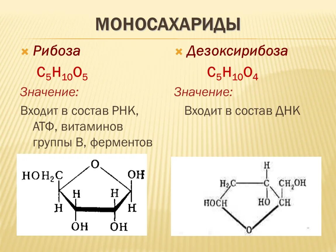 Рибоза группа углеводов. Структура рибозы и дезоксирибозы. Дезоксирибоза моносахарид. Рибоза и дезоксирибоза 10 класс. Углеводы моносахариды фруктоза