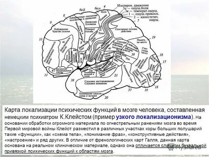 Карта головного