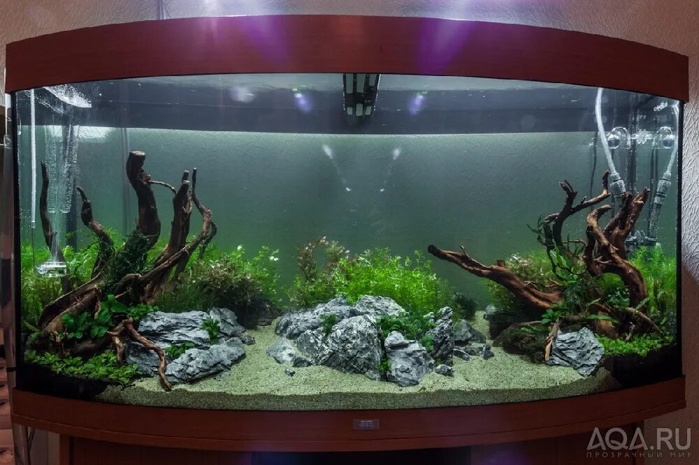 авито тула аквариум. мини морской аквариум на тумбе. аквариум калуга. большие аквариумы 3000 литров. аквариум 50 литров акваскейп.