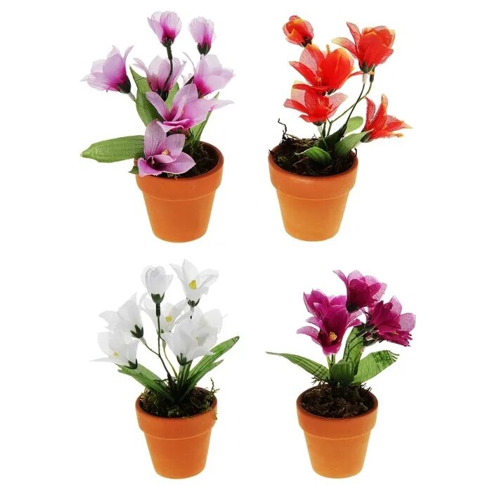 магазин комнатных растений. мужское счастье цветок название. интернет магазин комнатных цветов недорого. интернет магазин комнатных цветов недорого. антуриум микс 45 см.