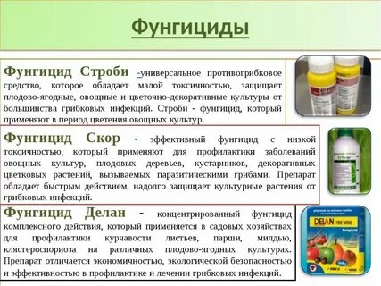 Препарат обладающий фунгицидным действием