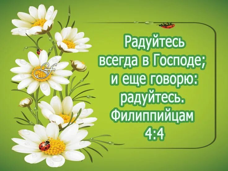 Перед вами Творческий проект "Подарок своими руками", сделанный ученицей