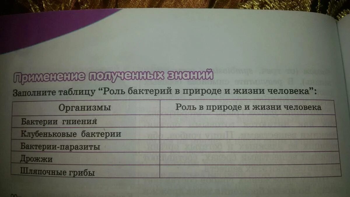 Таблица значений бактерий в природе и жизни. Заполнить таблицу значение бактерий. Таблица роль бактерий. Бактерии в природе и жизни человека таблица. Роль бактерий в жизни человека.