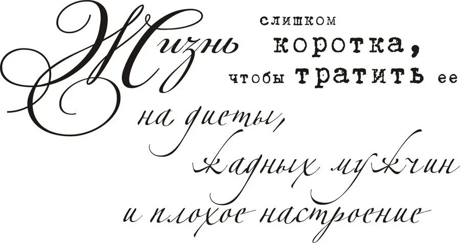 Смешные фразы день рождения короткие. Пожелания короткие фразы. Красивая фраза на день. Короткие фразы на день рождения. Короткие фразы поздравления.