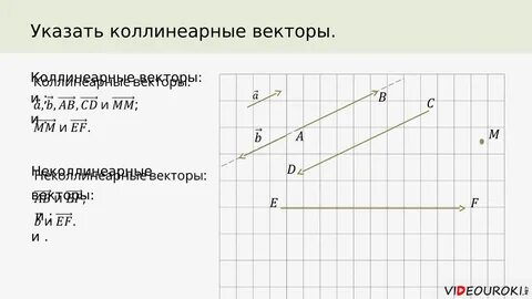 Векторы на плоскости виды