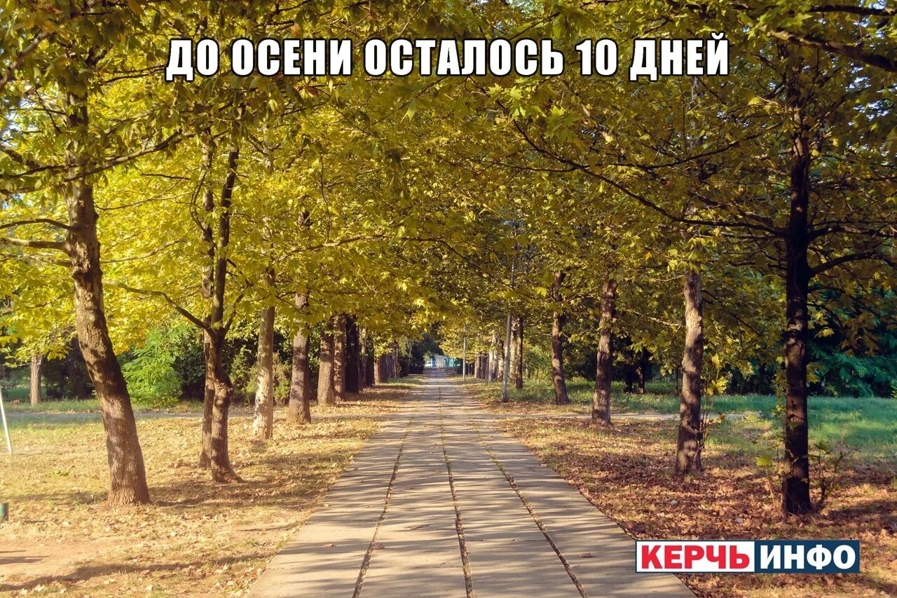 Керчь осень. До осени осталось. До осени осталось 10 дней. До осени 5 дней.