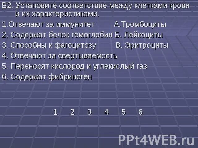 Установите соответствие между клетками и их особенностями. Установите соответствие между клетками и их особенностями