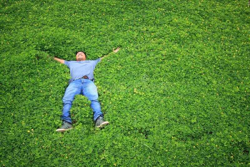Is sleeping in the garden. Человек в траве. Человек с травкой. Человек лежит на траве. На зеленой траве человек.