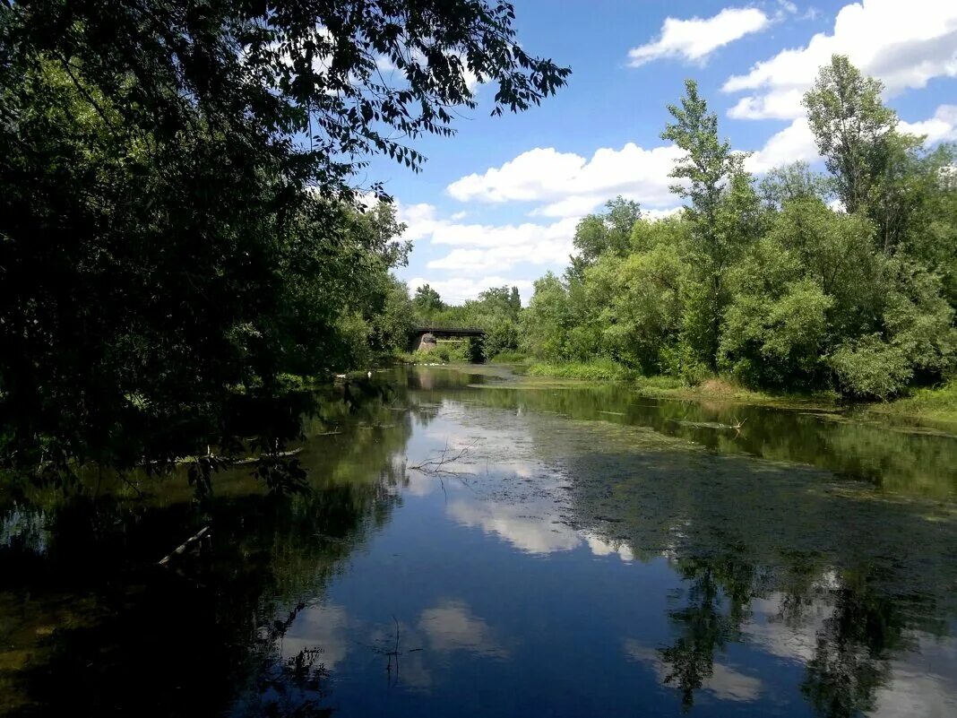 база у реки троицкое. база отдыха у реки новошахтинск. новошахтинск озеро. турбаза в новошахтинске у реки. реки новошахтинск.