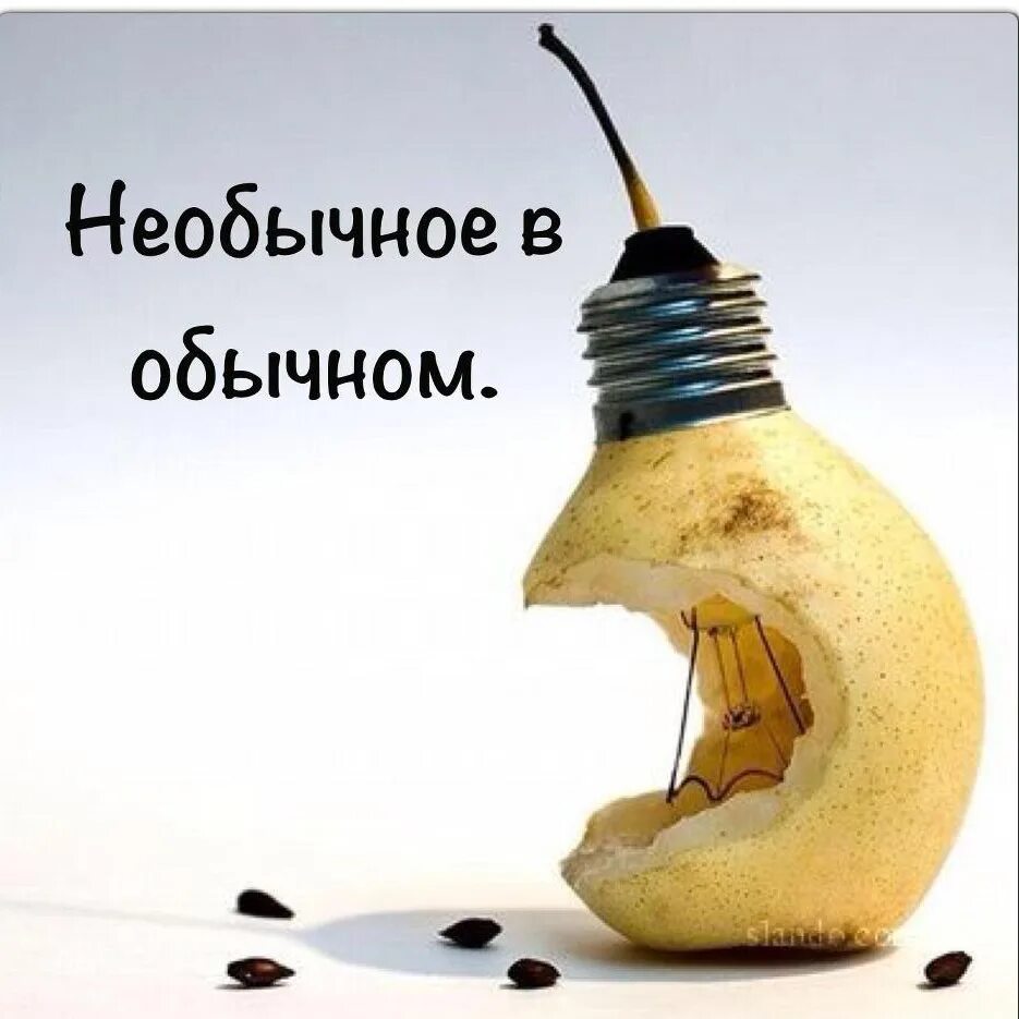 Нелепицы для детей. Креативная лампочка. Найди необычное в обычном. Поломанные скульптуры человеком. Креатив смешной.