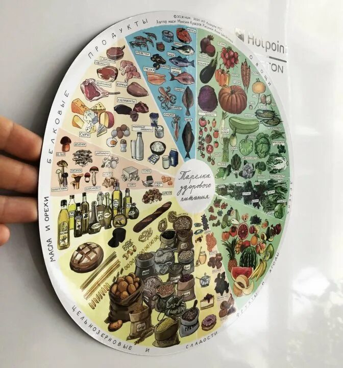 Тарелка зожника. Гарвардская тарелка здорового. Гарвардская тарелка здорового питания. Тарелка правильного питания для детей. Тарелка здорового питания гарвардской школы.