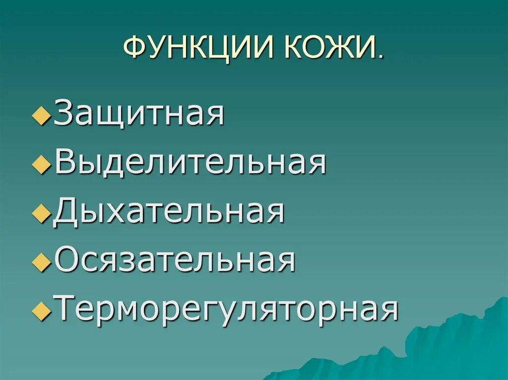 Функции кожи. Осязательная функция кожи. Терморегуляторная функция кожи. Действие осязательной функции кожи.