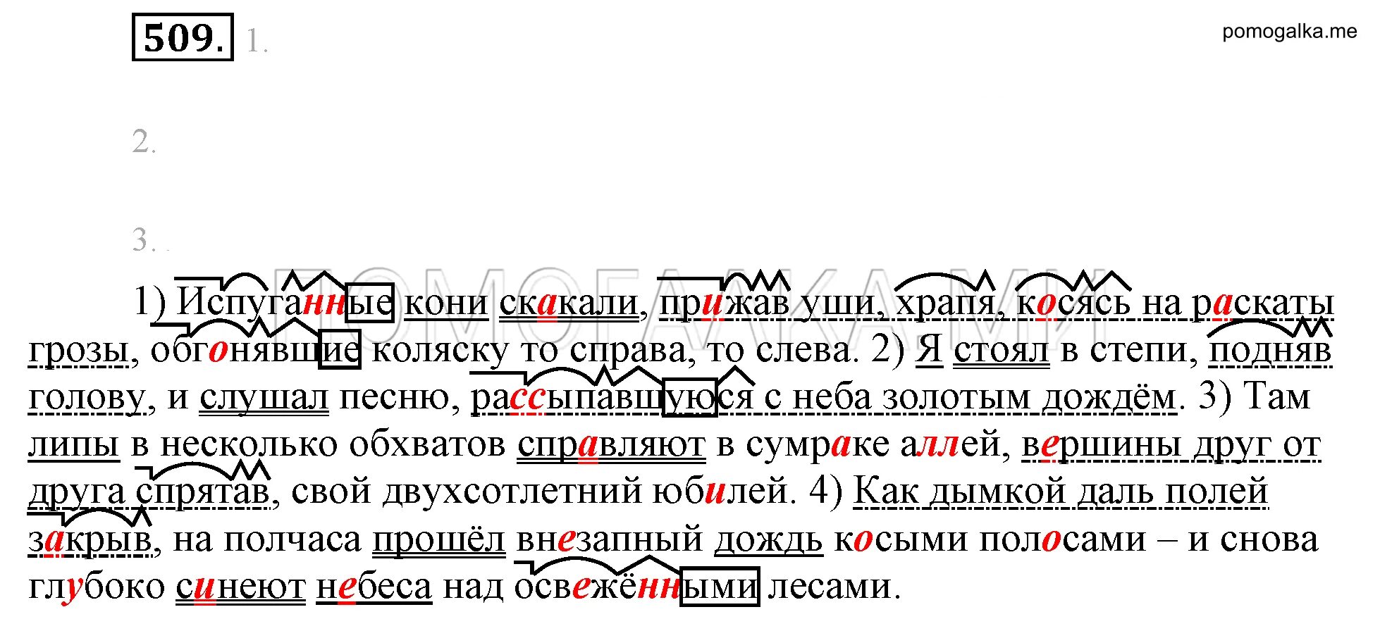 Русский язык 6 класс учебник упражнение 509. Испуганные кони скакали прижав уши храпя. Причастие русский язык 6 класс Разумовская.