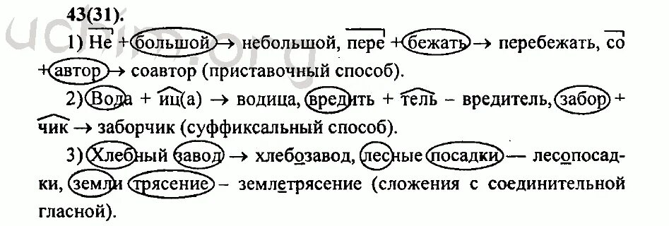 Русский язык 7 класс разумовская упр 467. Русский язык 7 класс Разумовская. Русский 7 кл Разумовская номер 31. Русский язык 7 класс Разумовская Львова Капинос Львов. Русский язык 7 Разумовская номер 3.