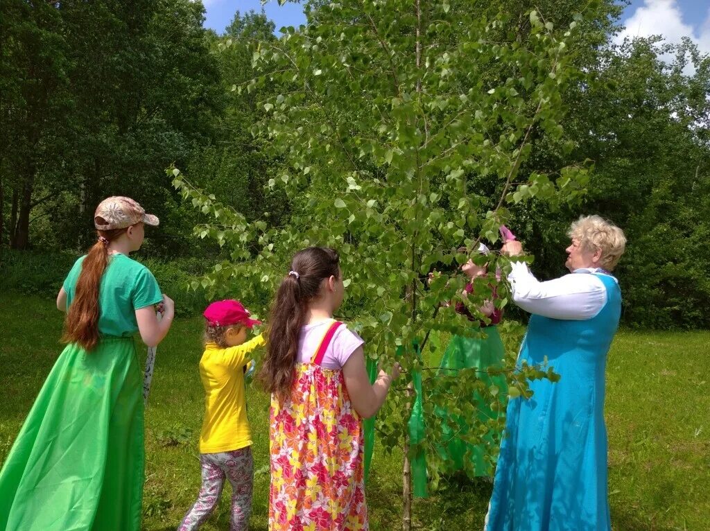 завивание березки на троицу. праздник русской березки троица. мы вокруг березки хороводом встали. «троица. 23 июня праздник русской березы.