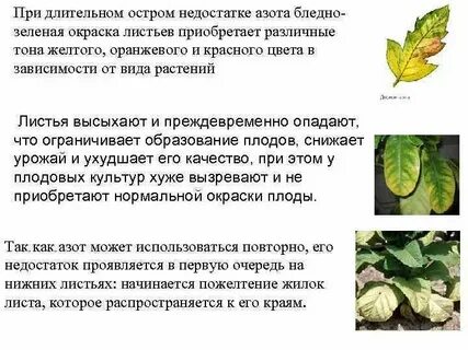 Какой экологический закон обуславливает недостаток азота