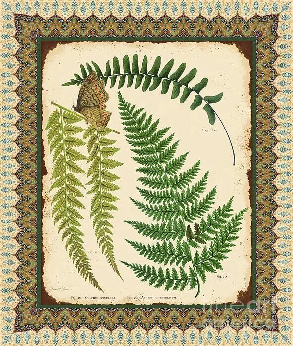 Fern art