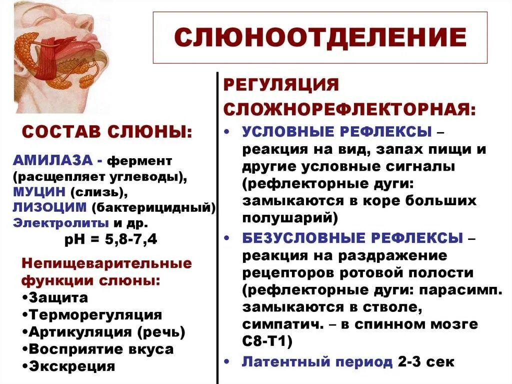 Повышение слюноотделения