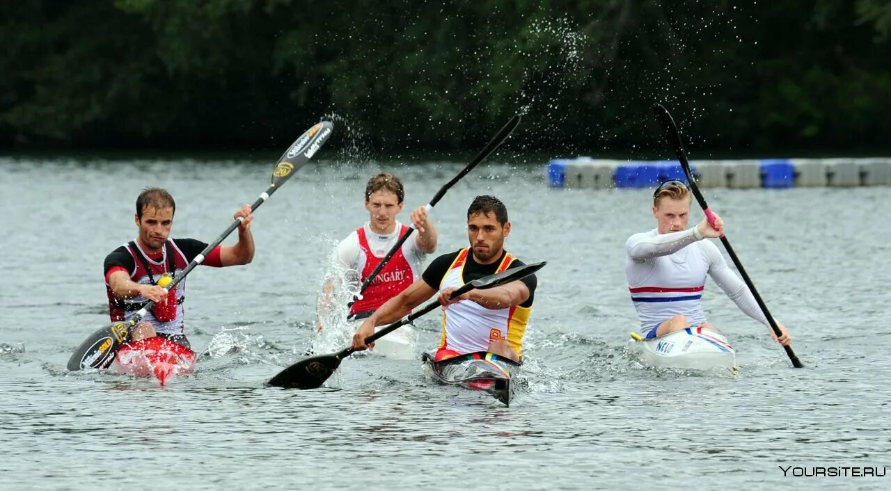 гребля на байдарках и каноэ. гайдарка. гайдарка. катание на байдарках. приключенческие гонки 2018 победители.