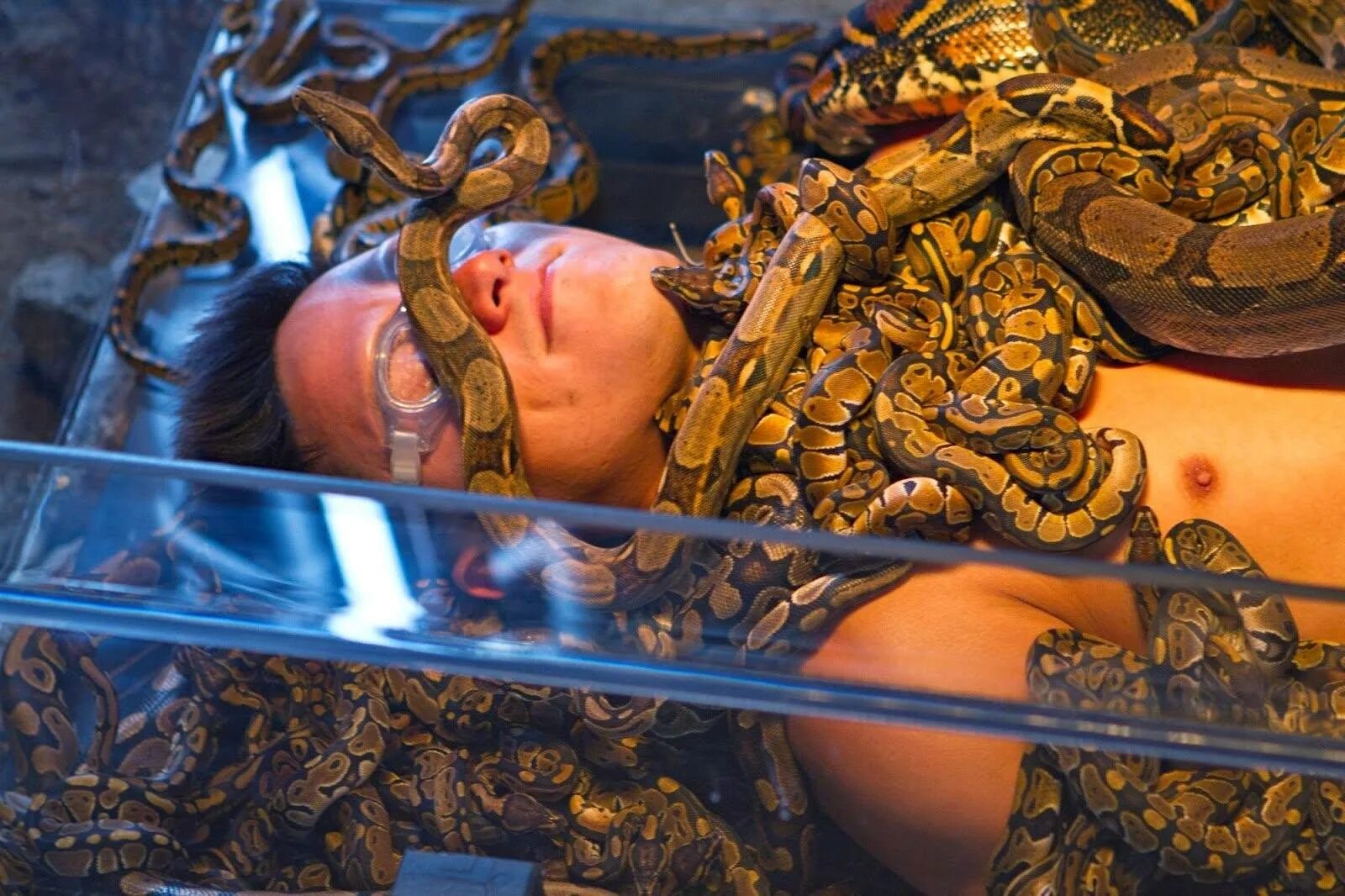 Яма со змеями. Викинги рагнар лодброк смерть. Яма со змеями. Нашествие гремучих змей. Кубло змей.