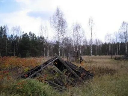 Курша 2