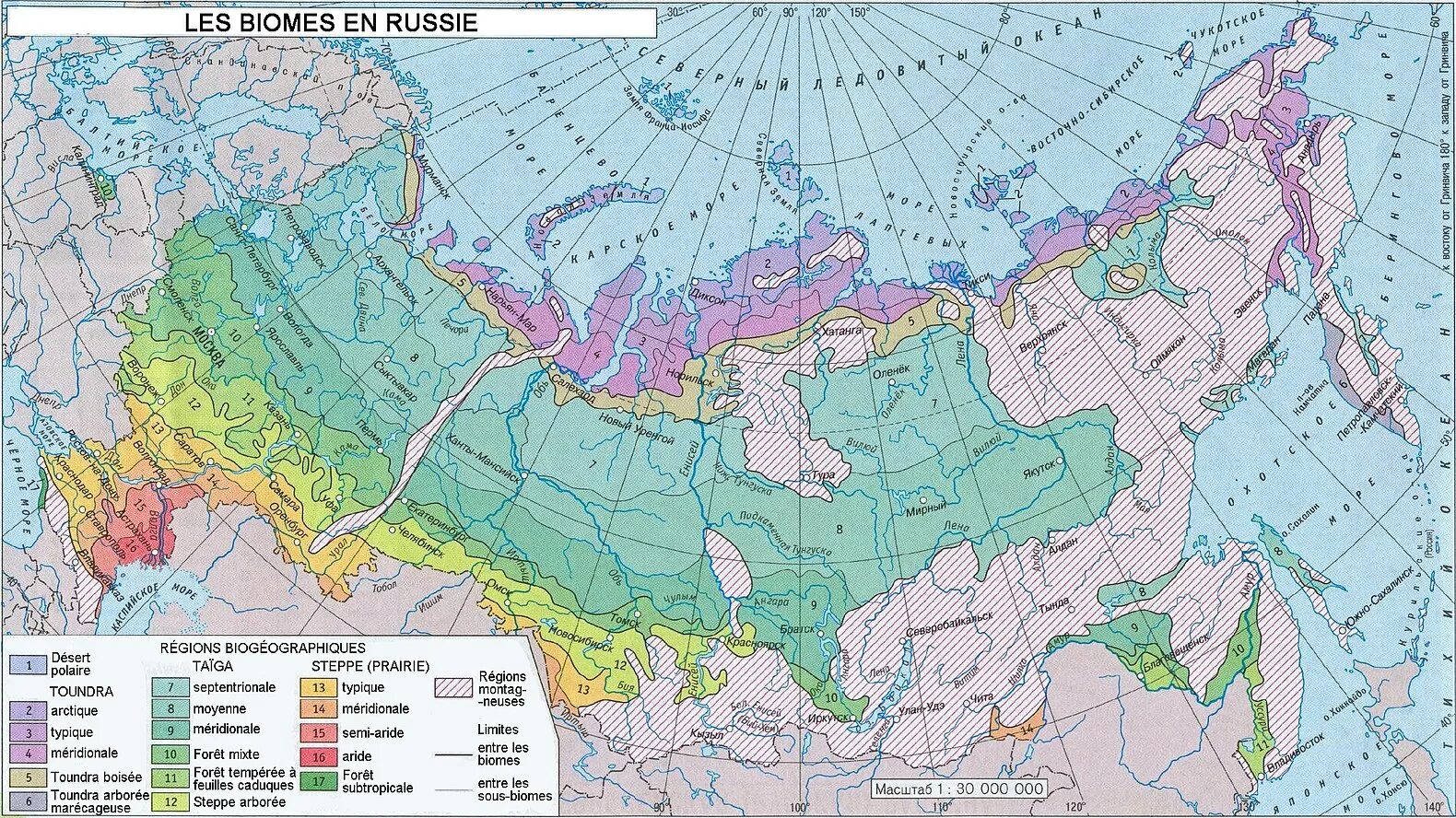 Широколиственные леса относительно морей и океанов. Карта природных зон России 8 класс география атлас. Природные зоны России атлас 8 класс география. Атлас 8 класс география природные зоны. Природная карта России с природными зонами.