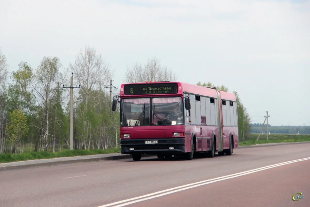 Автобус гомель красное. МАЗ 105. МАЗ Мозырь. МАЗ 105 Березники. МАЗ 2023 год Мозырь.