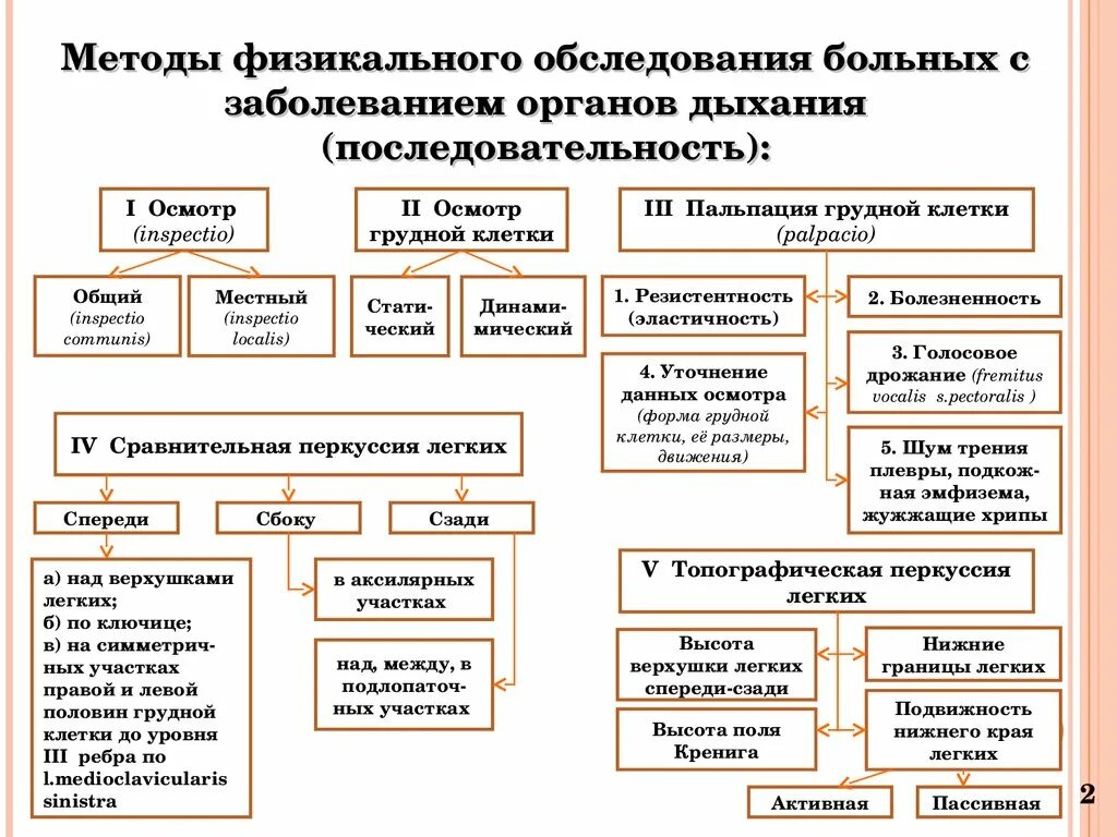 Обследование пациента с заболеваниями органов дыхания