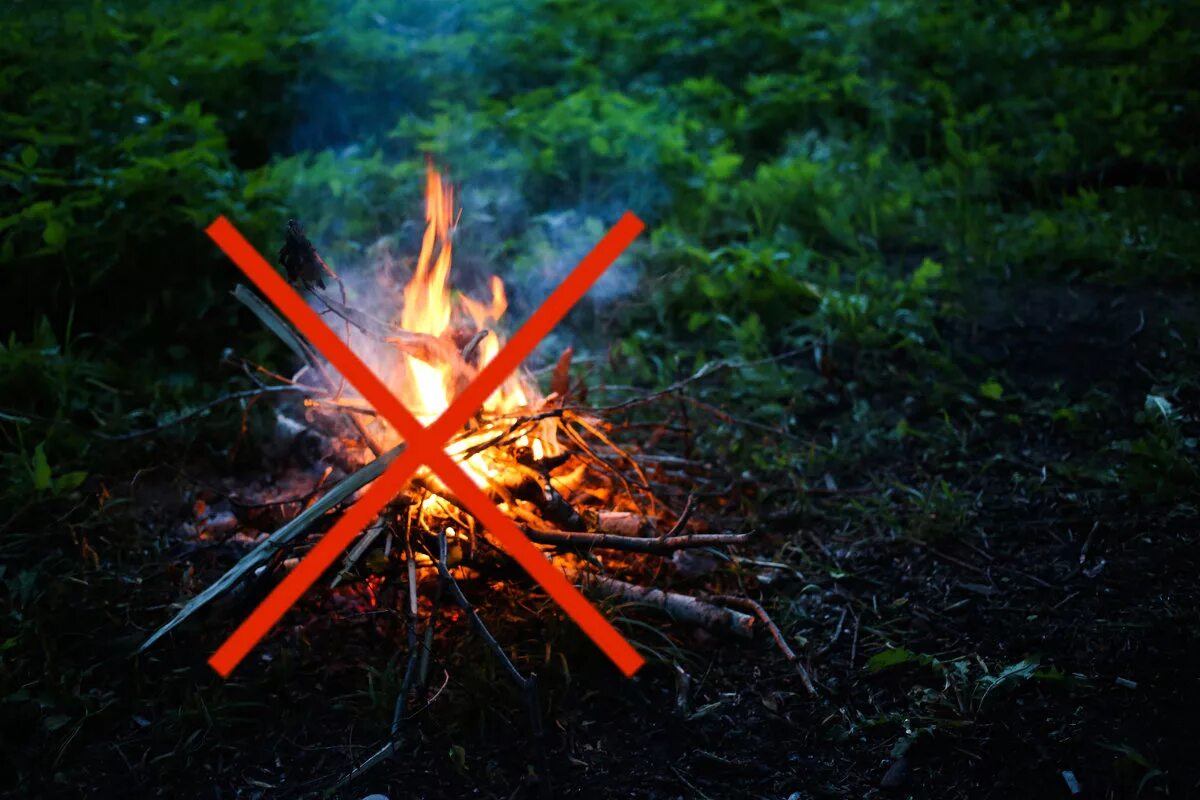 Где запрещено разводить костры на сухой траве. Костер в лесу. Кострище в лесу. Костер трава. Огромный огонь в лесу.