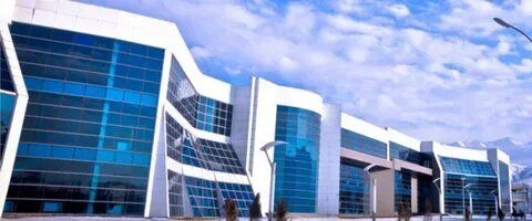 Порно сексуалдық