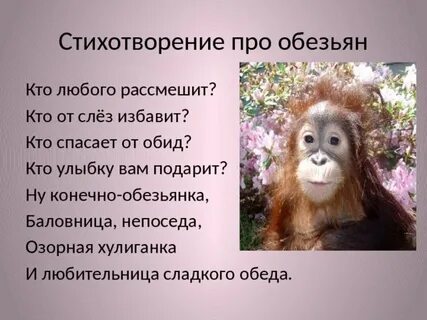 Стих обезьяна