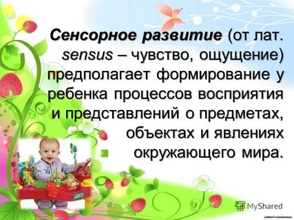 Сенсорное развитие детей раннего возраста презентации