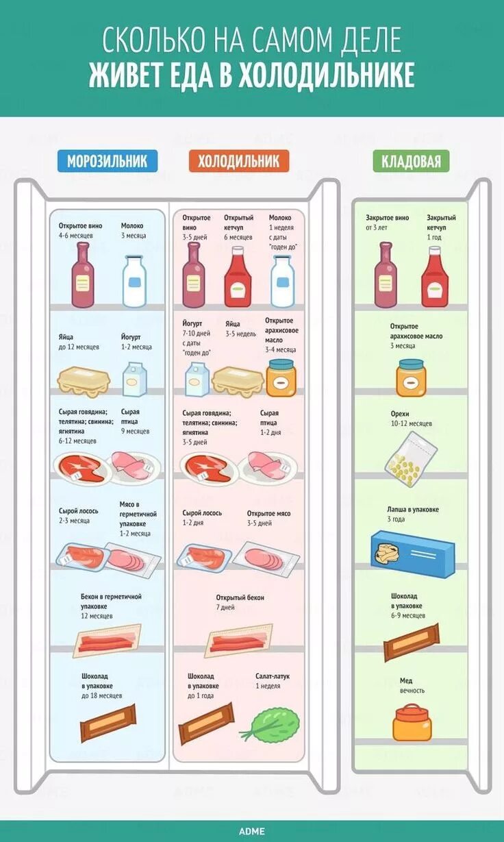 Хранение в холодильнике. Холодильник с продуктами. Хранение в холодильнике схема. Правильное хранение продуктов в холодильнике. Лапша в холодильнике