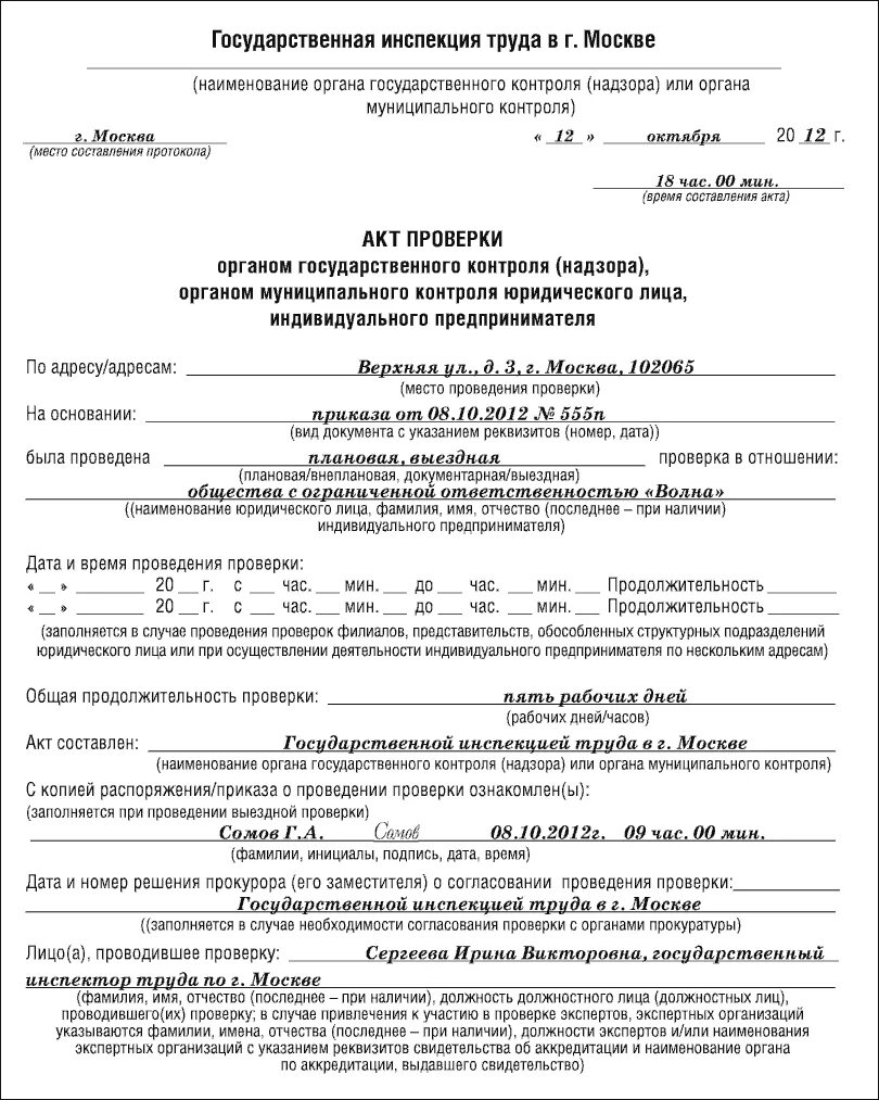 Образец составления акта по результатам проверки. Акт о проведении проверки. Акт проверки трудовой инспекции. Акт проверки пример. Акты проверки внутреннего контроля