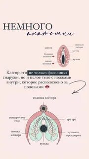 Менің ең жақсы досымның шұлықтағы суреті